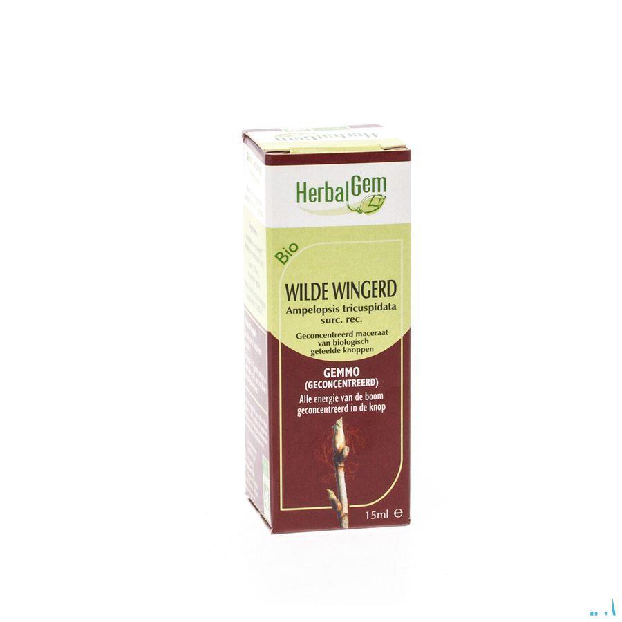 Herbalgem Wilde Wingerd Maceraat 15 ml  -  Herbalgem