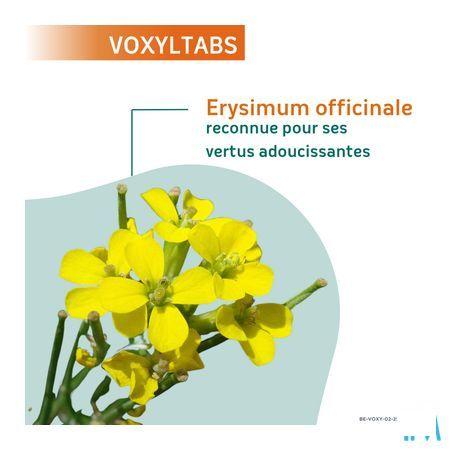 Voxyltabs Zuigtabletten 24 2663490