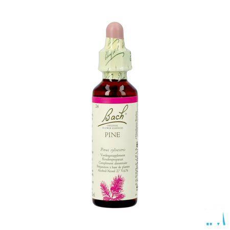 Bach Flower Remedie 24 Pine 20 ml