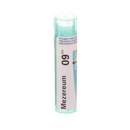 Mezereum 9CH Gr 4g  -  Boiron