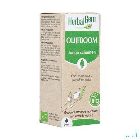 Herbalgem Olijfboom Bio 30 ml