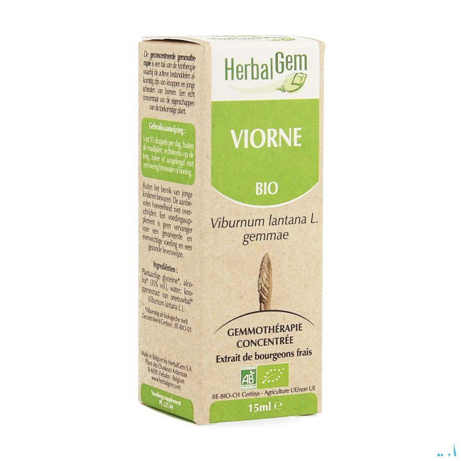 Herbalgem Wollige Sneeuwbal Maceraat 15 ml  -  Herbalgem