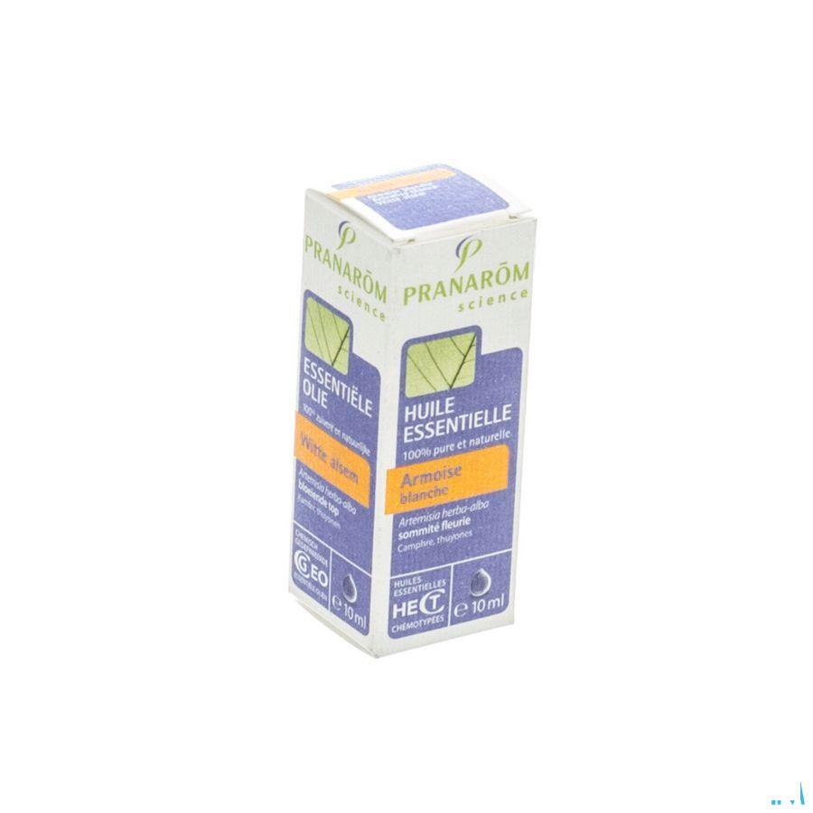 Armoise Blanche Huile Essentielle 10 ml  -  Pranarom