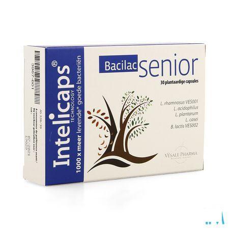 Bacilac Senior Capsule 30