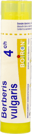 Berberis Vulgaris 4ch Gr 4g  -  Boiron