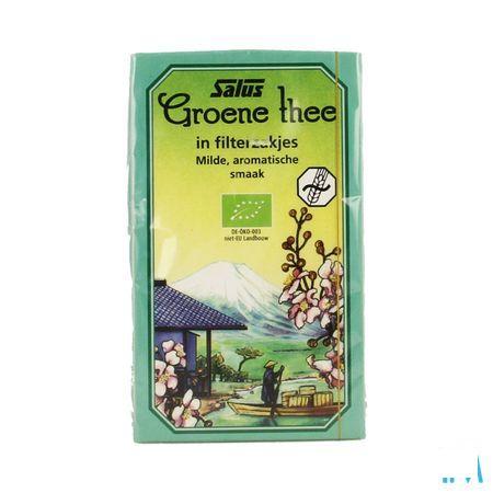 Salus Infusie Groene Thee Bio Builtje 15  -  Ocebio