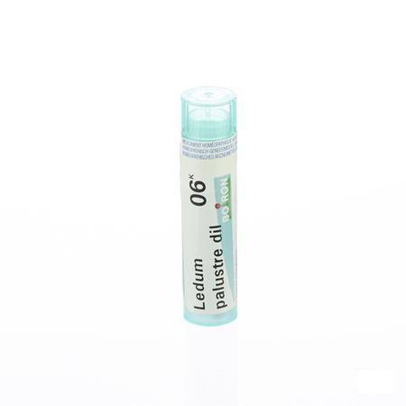 Ledum Palustre 6k Gr 4g  -  Boiron