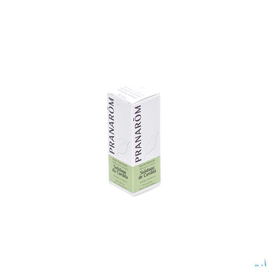 Solidage Du Canada Huile Essentielle 5 ml  -  Pranarom