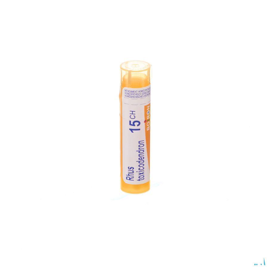 Rhus Toxicodendron 15CH Gr 4g  -  Boiron