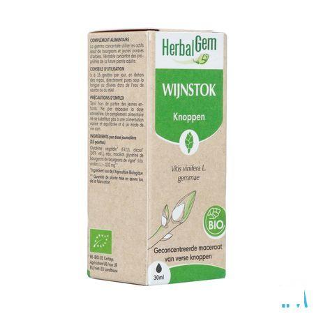 Herbalgem Vigne Bio 30 ml