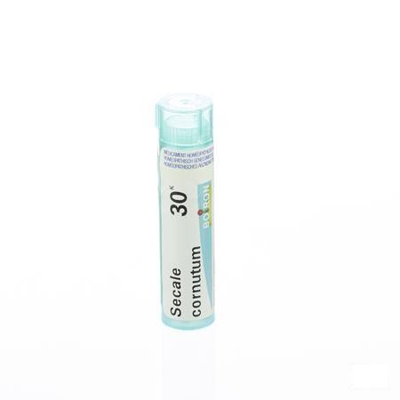 Secale Cornutum 30K Gr 4g  -  Boiron