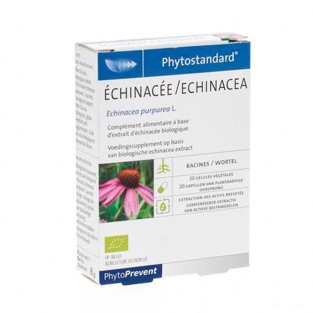 Phytostandard Echinacea Capsule 20  -  Pileje