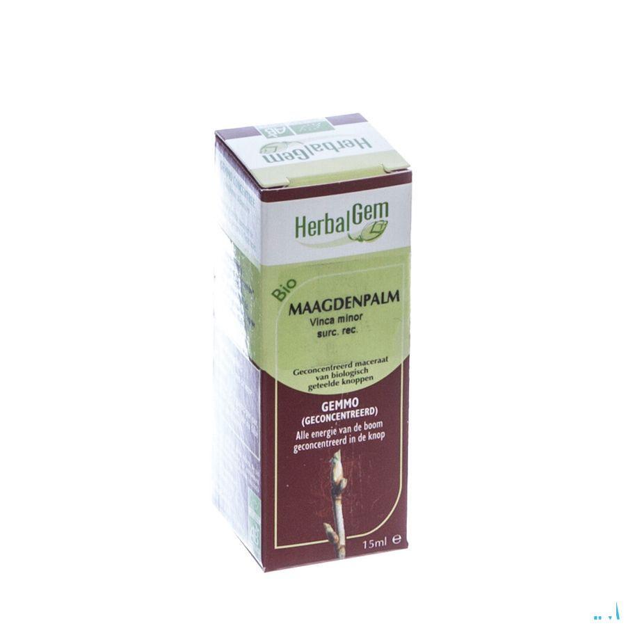 Herbalgem Maagdenpalm Maceraat 15 ml  -  Herbalgem
