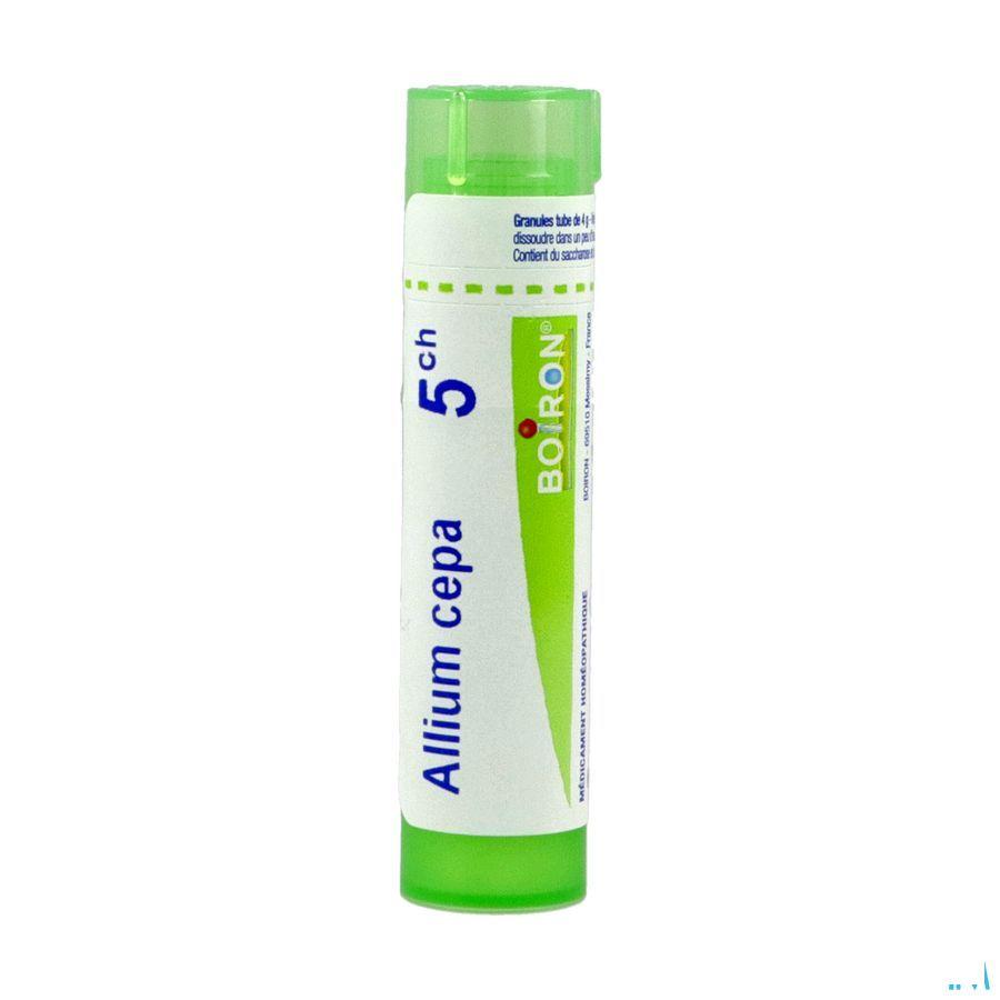 Allium Cepa 5CH Gr 4g  -  Boiron
