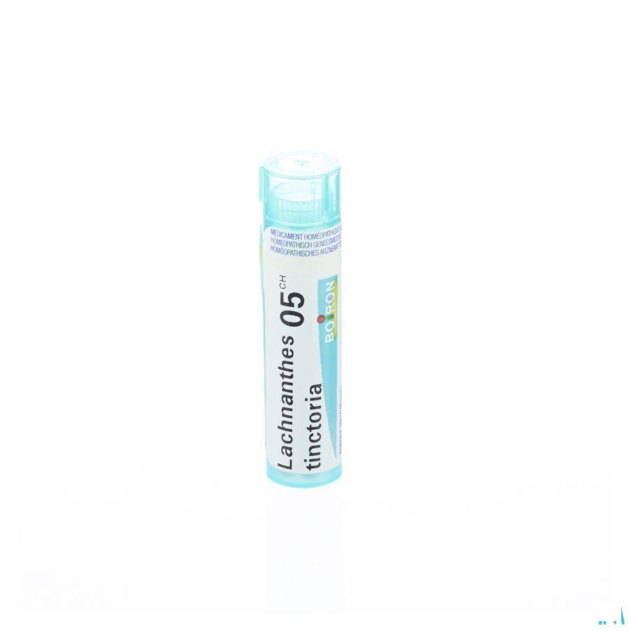 Lachnanthes Tinctoria 5CH Gr 4g  -  Boiron