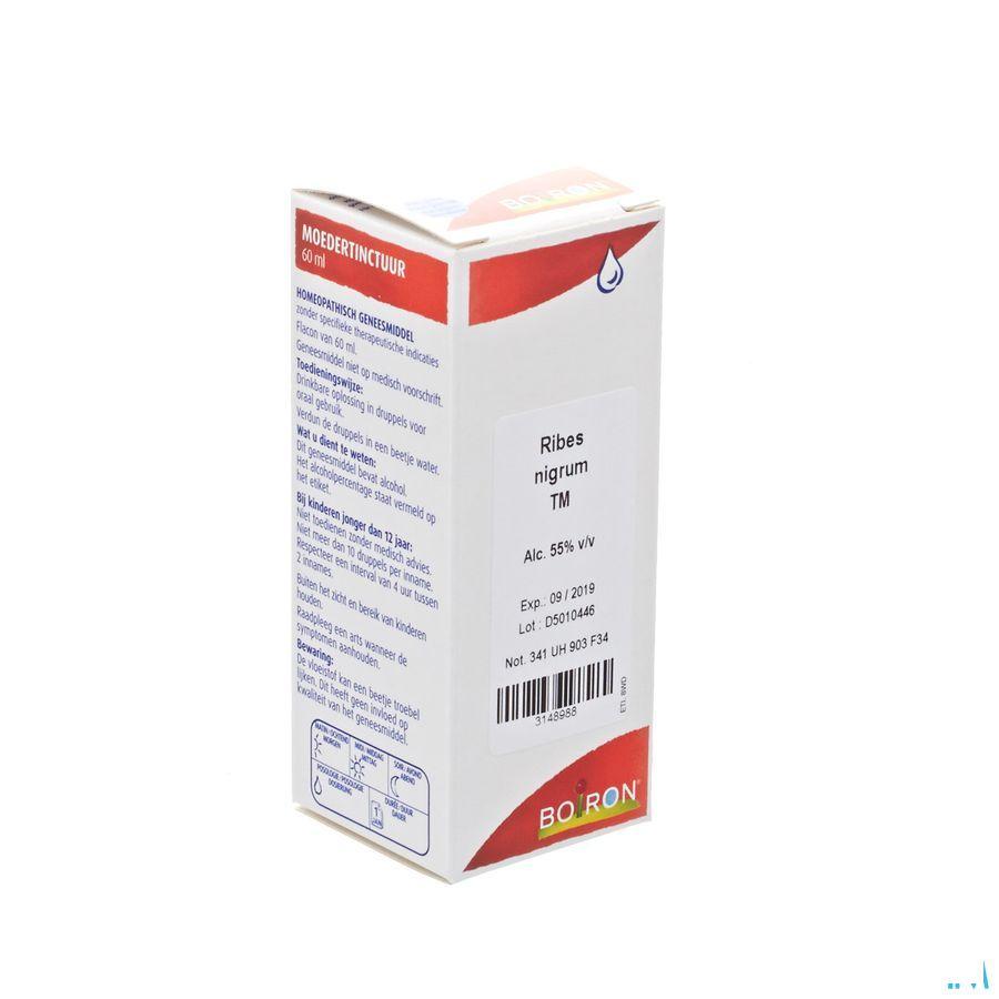 Ribes Nigrum Tm 60 ml  -  Boiron