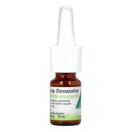 Rhinospray Tramasoline Eucalyptol 1,1 mg/ml Spray Nasal 10 ml
