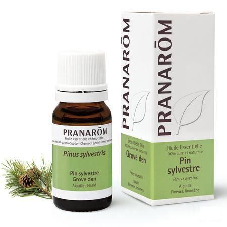 Pin Sylvestre Huile Essentielle 10 ml  -  Pranarom