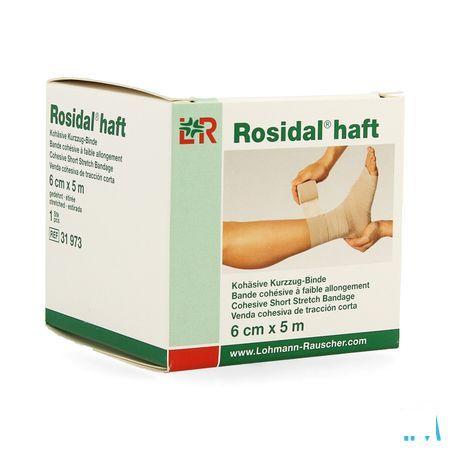 Rosidal Haft Cohesieve Windel 6cmx5m 1 31973  -  Lohmann & Rauscher