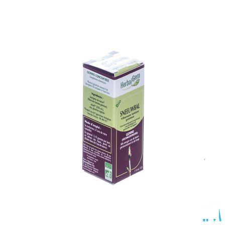 Herbalgem Wollige Sneeuwbal Maceraat 15 ml  -  Herbalgem