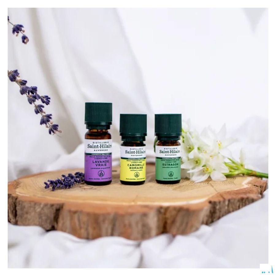 Romeinse Kamille Bio Essentiele Olie 5 ml  -  Bioholistic Diffusion