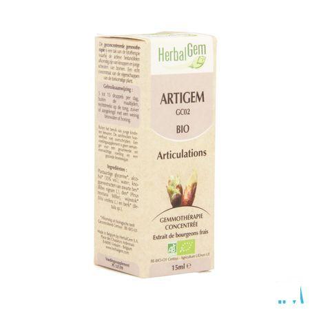 Herbalgem Artigem Complex 15 ml  -  Herbalgem