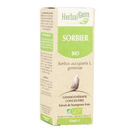 Herbalgem Lijsterbes Maceraat 15 ml  -  Herbalgem