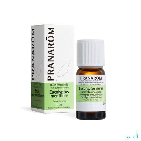 Eucalyptus Menthol Essentiele Olie 10 ml  -  Pranarom