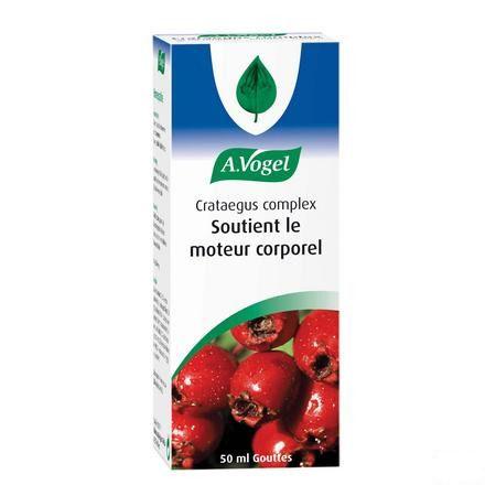 Vogel Crataegus Complex Gouttes 50 ml  -  A.vogel