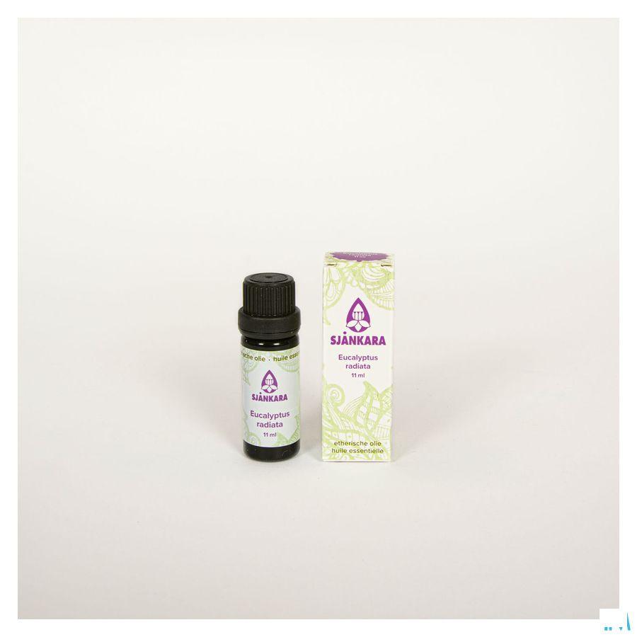 Sjankara Eucalyptus Radiata Bio Huile Essentielle 11 ml