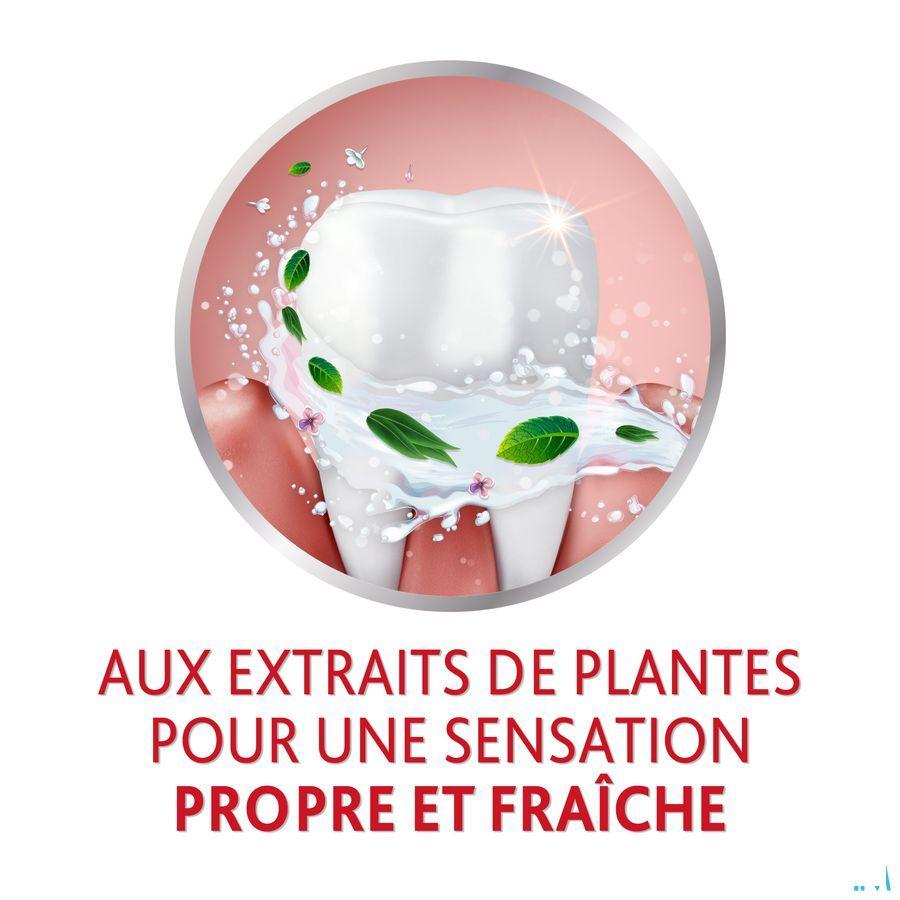 Parodontax Dentifrice Herbal Ginger Tube 75 ml