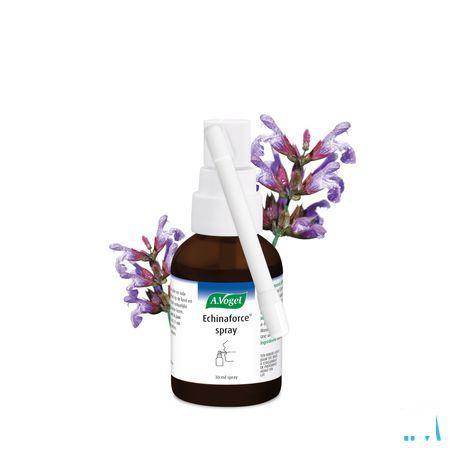 Vogel Echinaforce Keelspray 30 ml  -  A.vogel