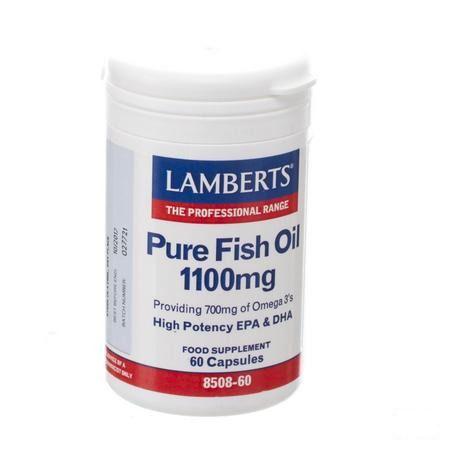 Lamberts Pure Visolie 1100 mg Capsule 60  -  Health Benefits 08