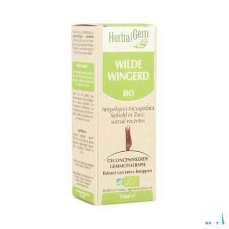 Herbalgem Wilde Wingerd Maceraat 15 ml  -  Herbalgem