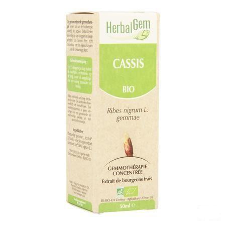 Herbalgem Zwarte Bes Maceraat 50 ml  -  Herbalgem