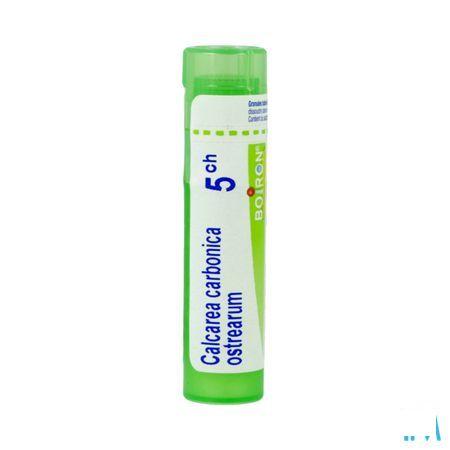 Calcarea Carbonica Ostrearum 5CH Gr 4g  -  Boiron