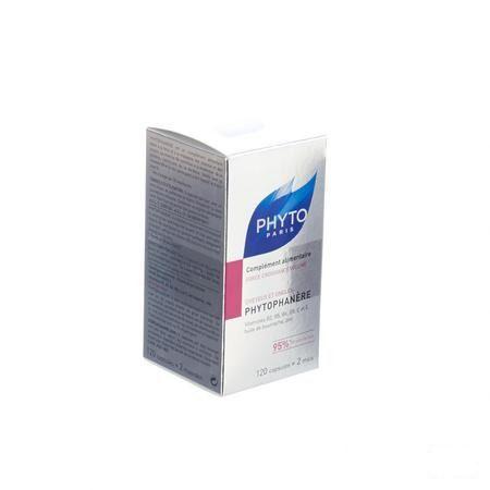 Phytophanere Chev Anti chute + Zinc Capsule 120 