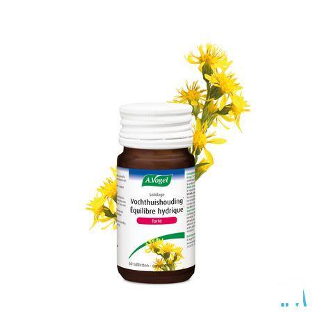 Vogel Solidago Forte Pot 60x400 mg  -  A.vogel