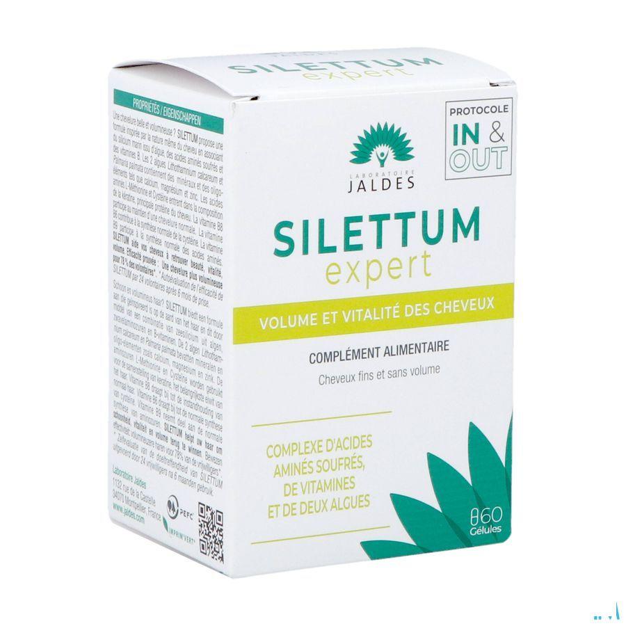 Silettum Gel 60