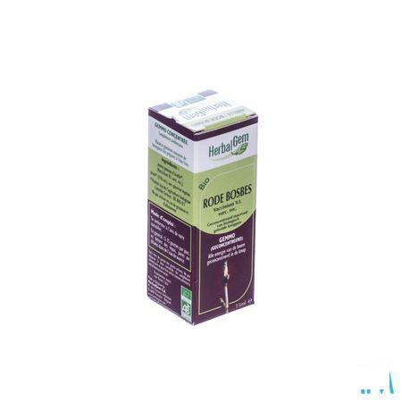 Herbalgem Airelle Macerat 15 ml  -  Herbalgem