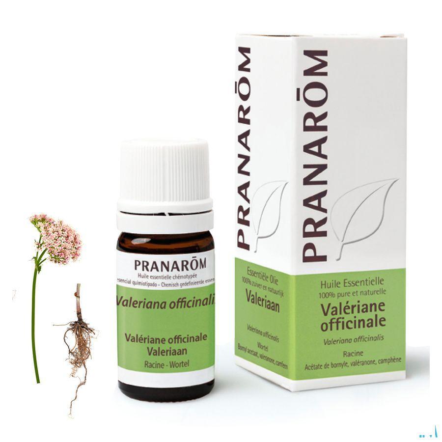 Valeriaan Offic. Essentiele Olie 5 ml  -  Pranarom
