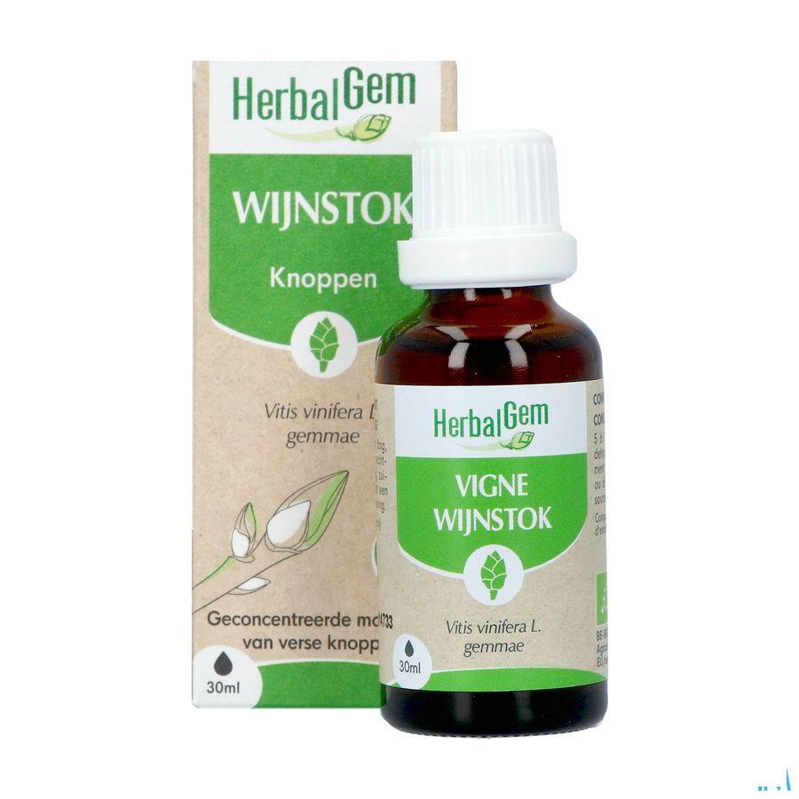 Herbalgem Vigne Bio 30 ml
