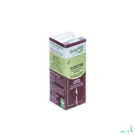 Herbalgem Hazelaar Maceraat 15 ml  -  Herbalgem
