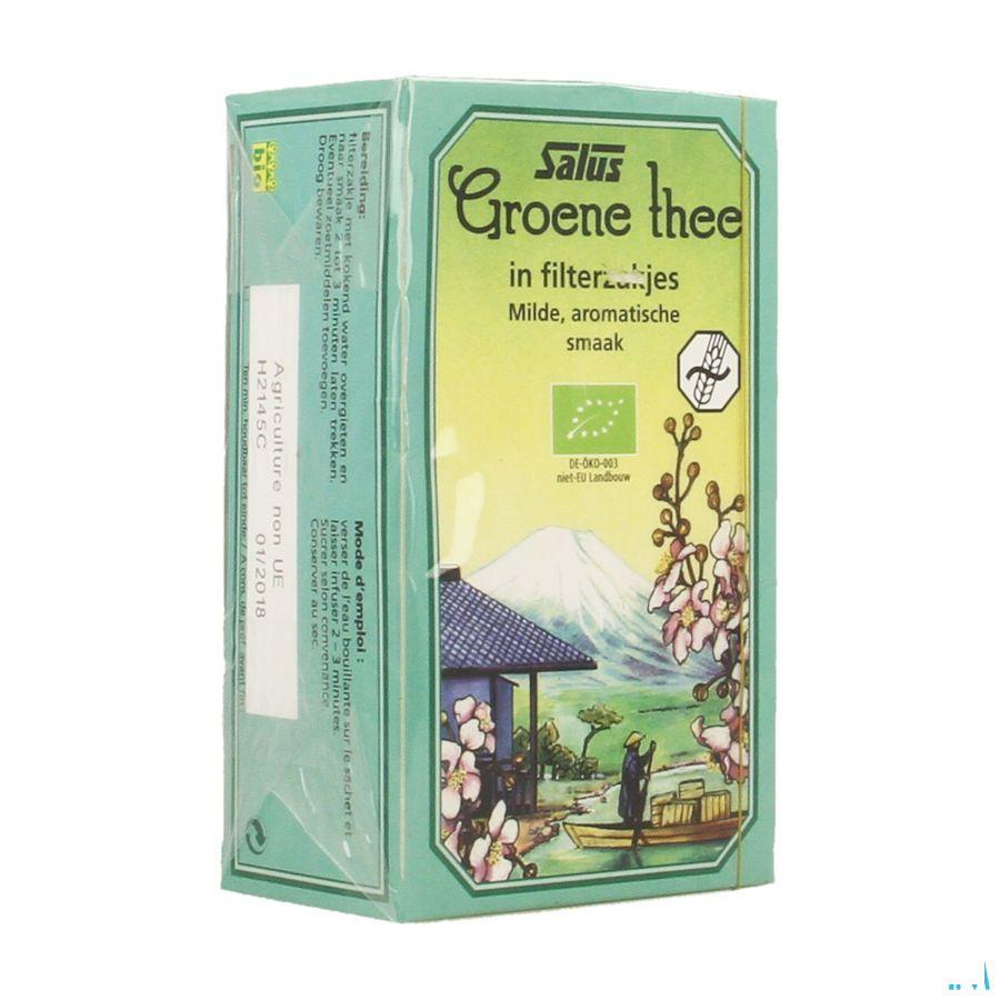 Salus Infusie Groene Thee Bio Builtje 15  -  Ocebio