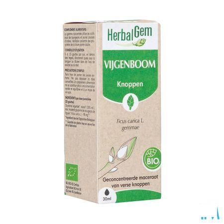 Herbalgem Vijgenboom Bio 30 ml