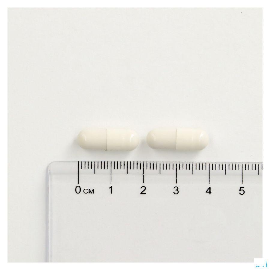 Cogniton Focus Capsule 60  -  Depharm