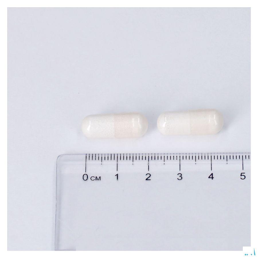 Magnesium B6 Pg Pharmagenerix Capsule 60  -  Superphar