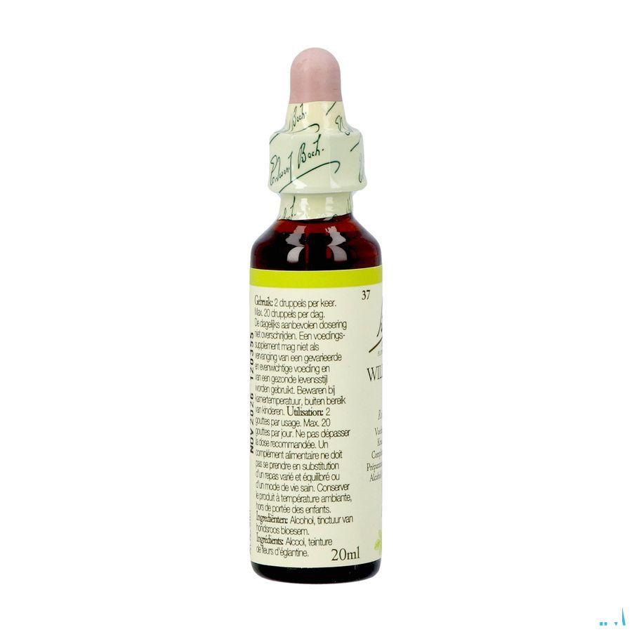 Bach Flower Remedie 37 Wild Rose 20 ml