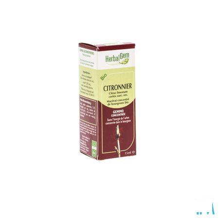 Herbalgem Citroenboom Maceraat 15 ml  -  Herbalgem