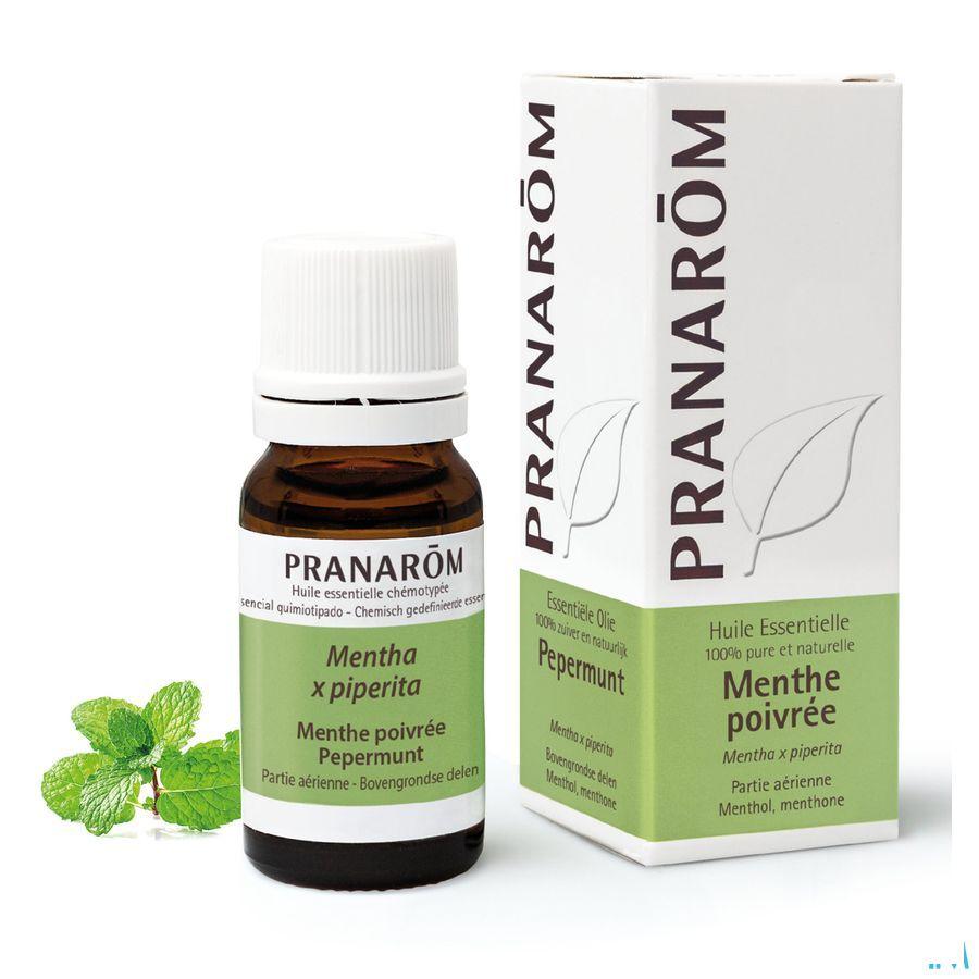 Pepermunt Essentiele Olie 10 ml  -  Pranarom